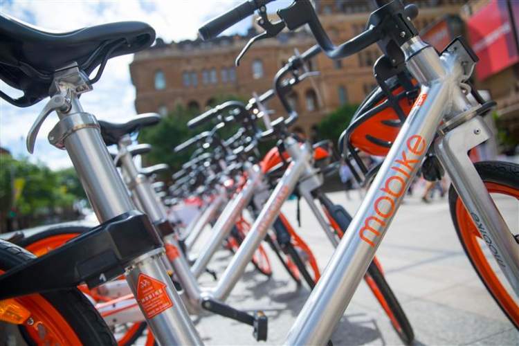 不知道这些词今年真的白过了|2017魔都生活高频热词