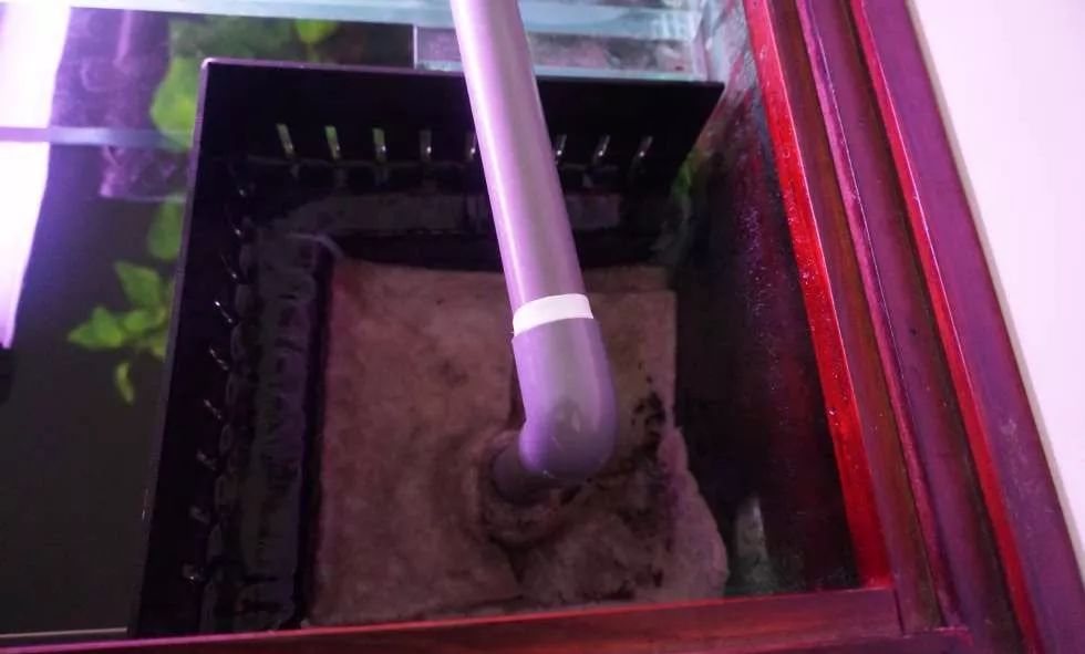 玩得细致、专业,出手不凡!