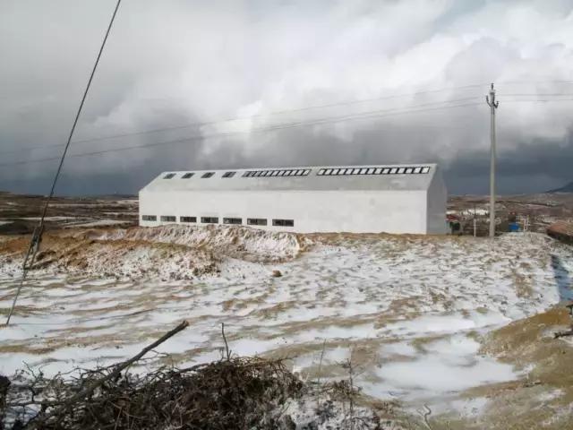 值得推荐的山东美术馆,烟台海边适合拍照美术馆