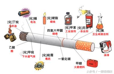 吸烟和戒烟哪个容易发胖,戒烟减肥快还是吸烟减肥快