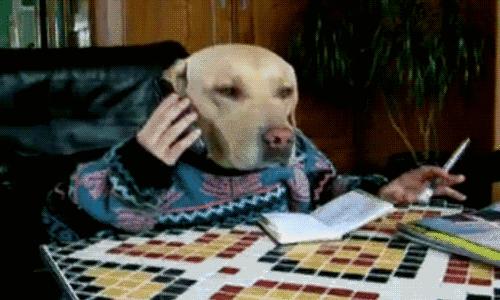 公司年终资产盘点讲话,公司资产盘点应该尽量多还是少