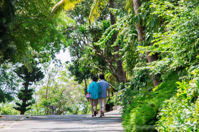 和父母的三亚之旅,带着爸妈去海岛旅游