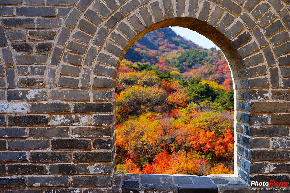 佳能eos800d摄影视频,佳能eos800d拍出来是黑白的