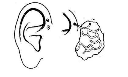 仓眼为什么是黑色,为什么会有仓眼