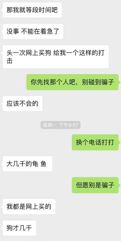 宠物爱心骗局新套路,宠物圈骗局大揭秘