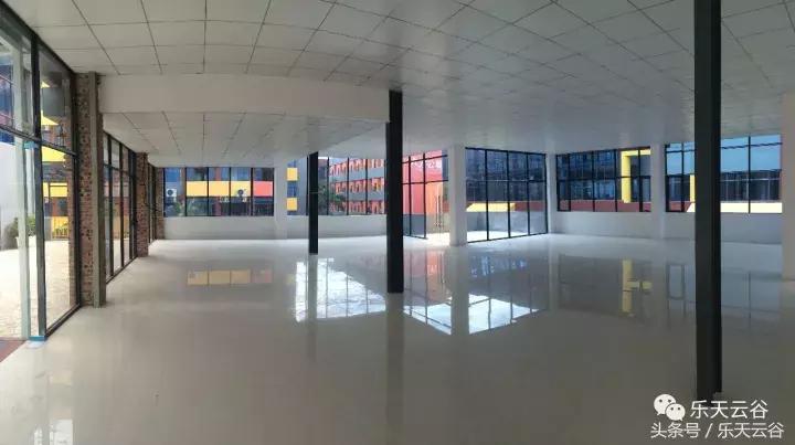 元旦南沙去哪里玩,南沙黄山鲁森林公园游玩攻略