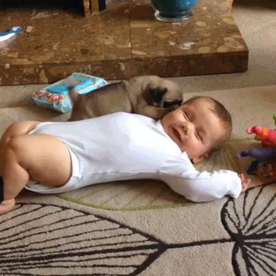 看完笑的腮帮发酸的二十六张图（9998714）