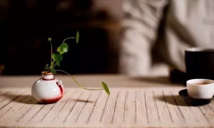 岩茶大红袍怎么选购的,如何挑选适合自己的武夷岩茶