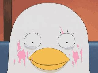 在“节”难逃!双十二不剁手完全指南