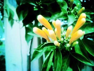 福州的职业技术学院有哪些,福州职业技术学院都有什么学院