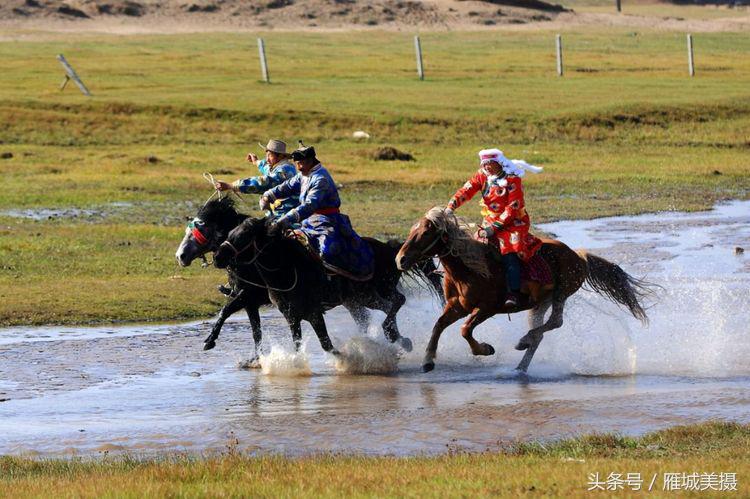 坝上草原奔马图片,坝上奔马摄影