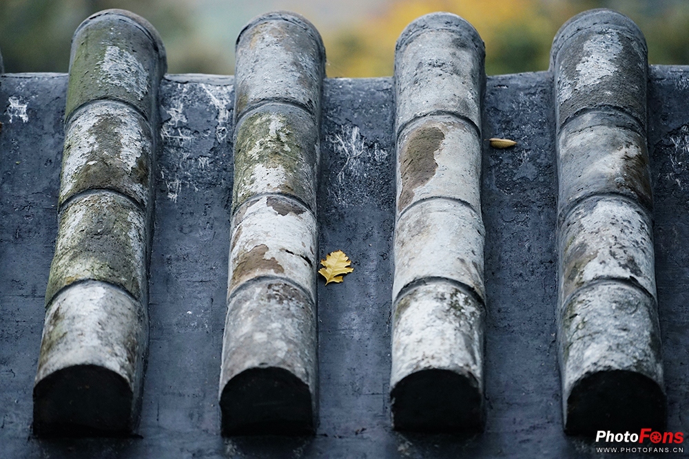 佳能eos800d摄影视频,佳能eos800d拍出来是黑白的