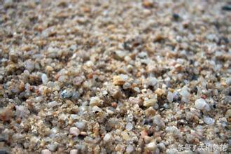 为何总种不好多肉?深扒多肉颗粒土那点事儿