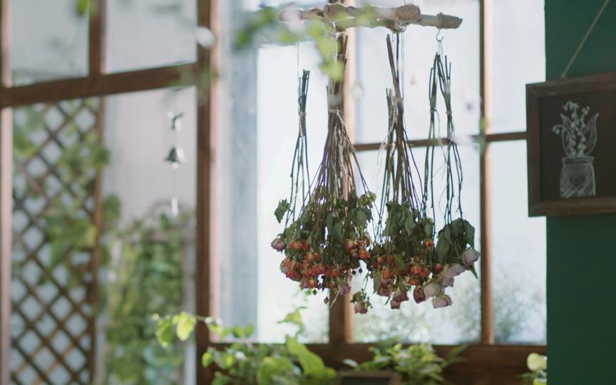 怎么保留花色做干花,如何把鲜花做成干花保留花色