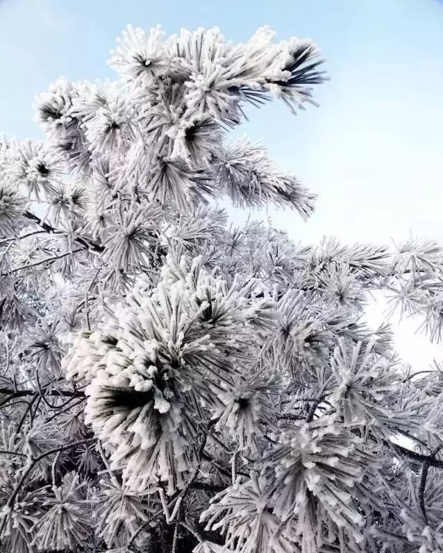 连州雪景旅游区,粤北连州风景
