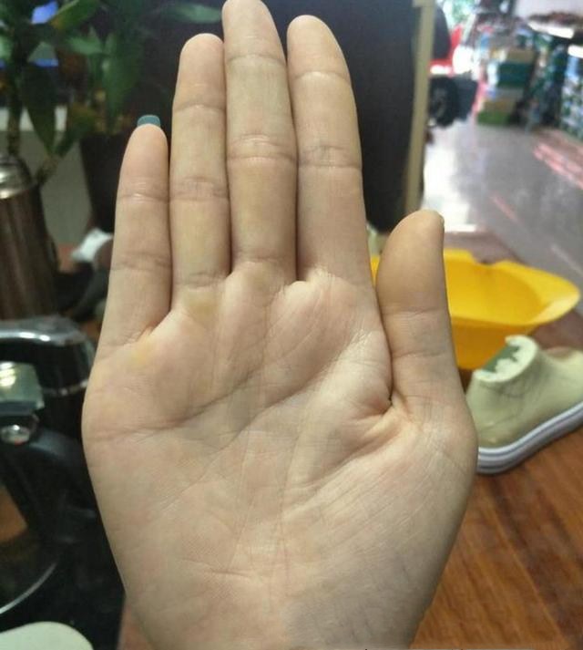 什么样手纹子女出人头地,哪条手纹代表子女缘