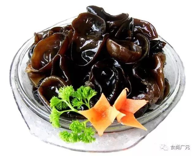 复兴号全面启动,四川广元复兴号