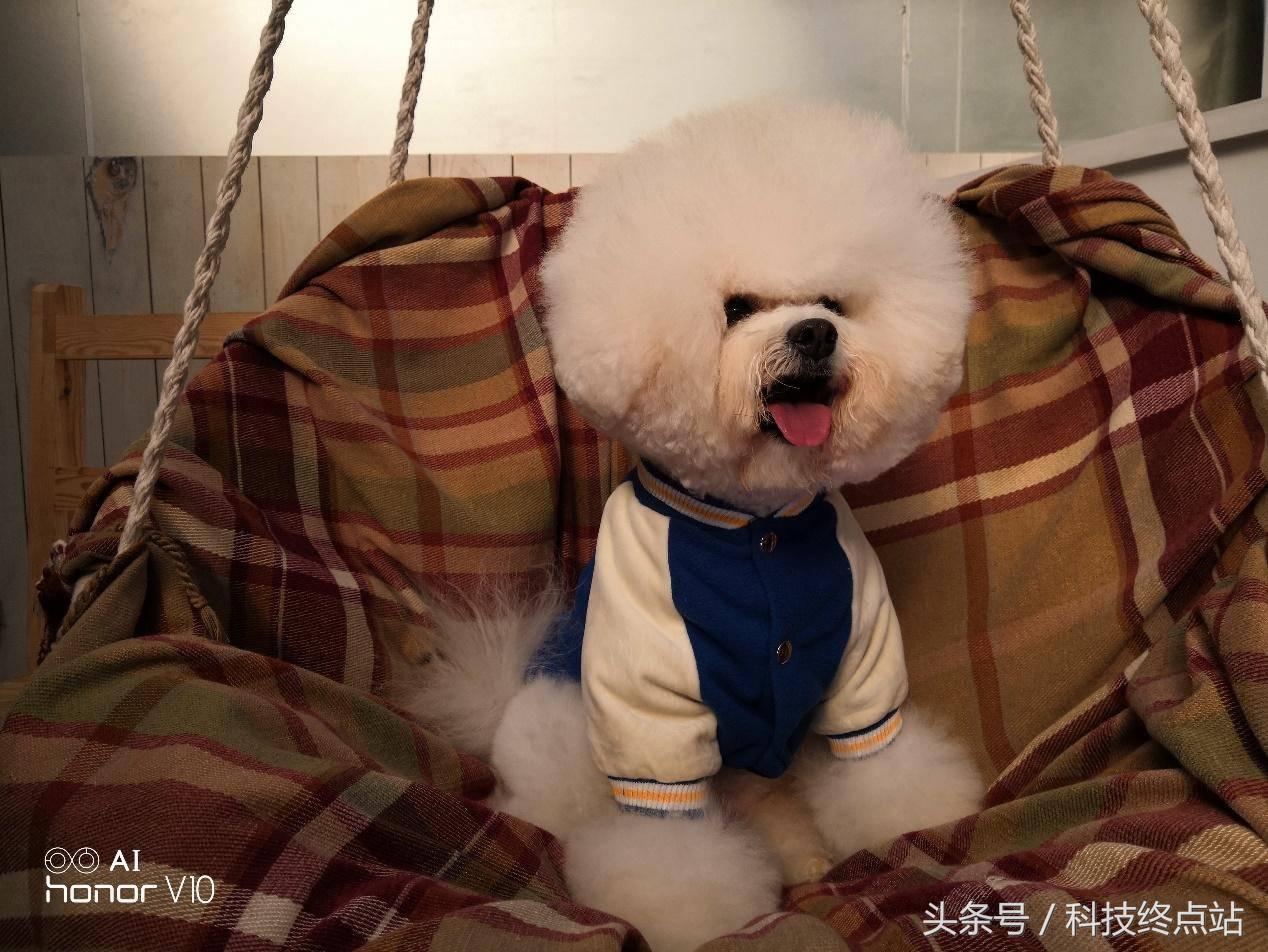 荣耀v10发布评测,极客公园ai大会