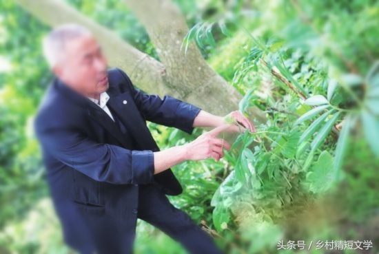 第26期：蛇医（原创精品）