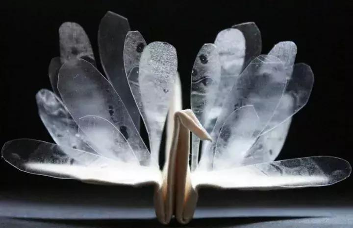 他用3个月时间，折叠了1000只千纸鹤，送给了他最亲爱的姑娘