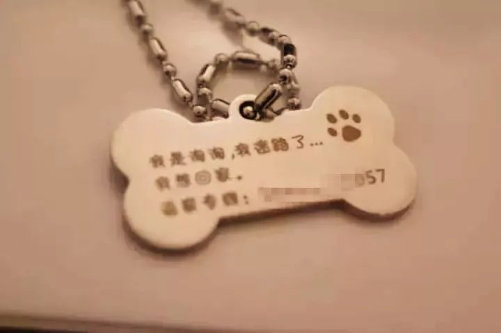 狗狗丢了怎么用互联网找,狗狗丢了12天了应该怎么找