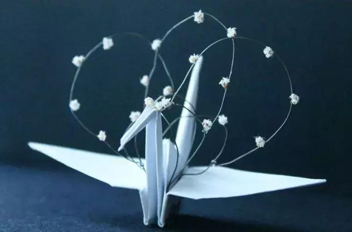 他用3个月时间，折叠了1000只千纸鹤，送给了他最亲爱的姑娘