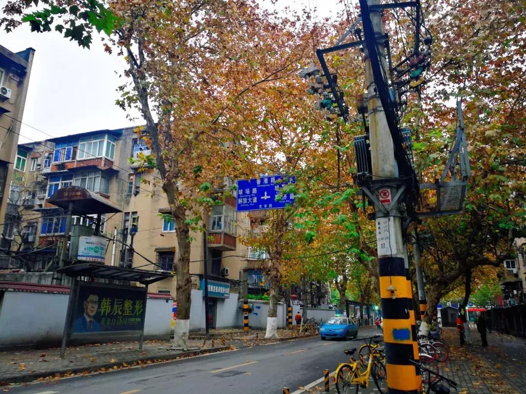 这几年酱黑鸭怎么越来越火,老字号黑鸭