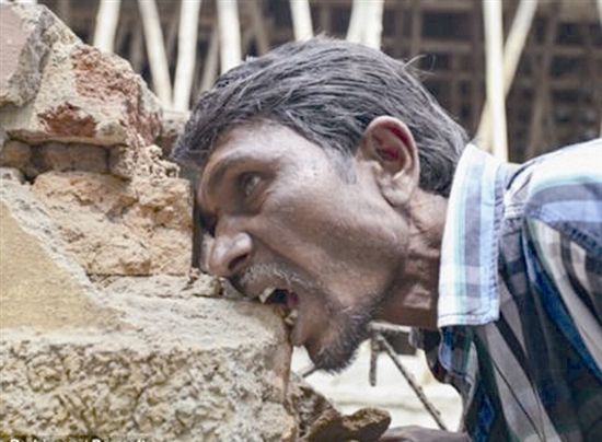 异食癖吃卫生纸怎样治好,异食癖是缺乏什么引起