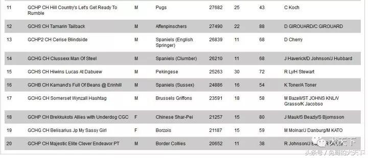 akc最受欢迎犬种排名,akc将犬种分为七个组别分别是