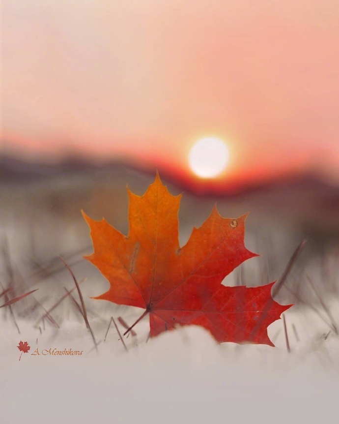 栗子姐情感专访,栗子姐每日情感问答视频