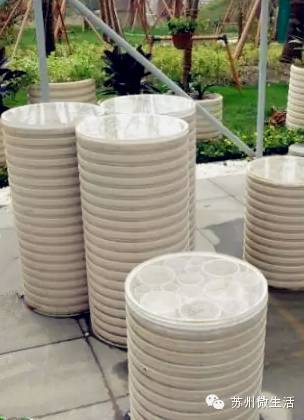 园博园花海在哪个位置,园博园花海现在还有么