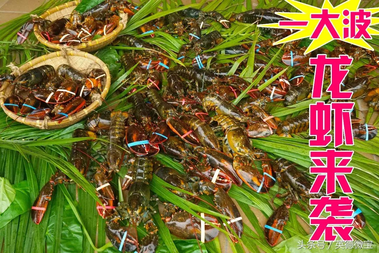 椰林6号海鲜码头，卖龙虾，这个价格很新鲜！