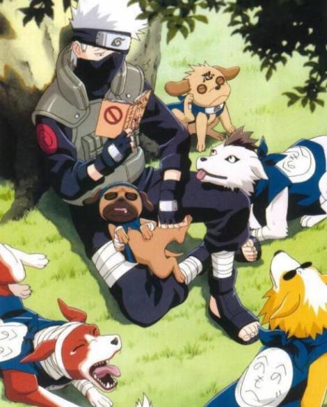 火影里凯的通灵兽是什么,火影通灵兽升级超过3只