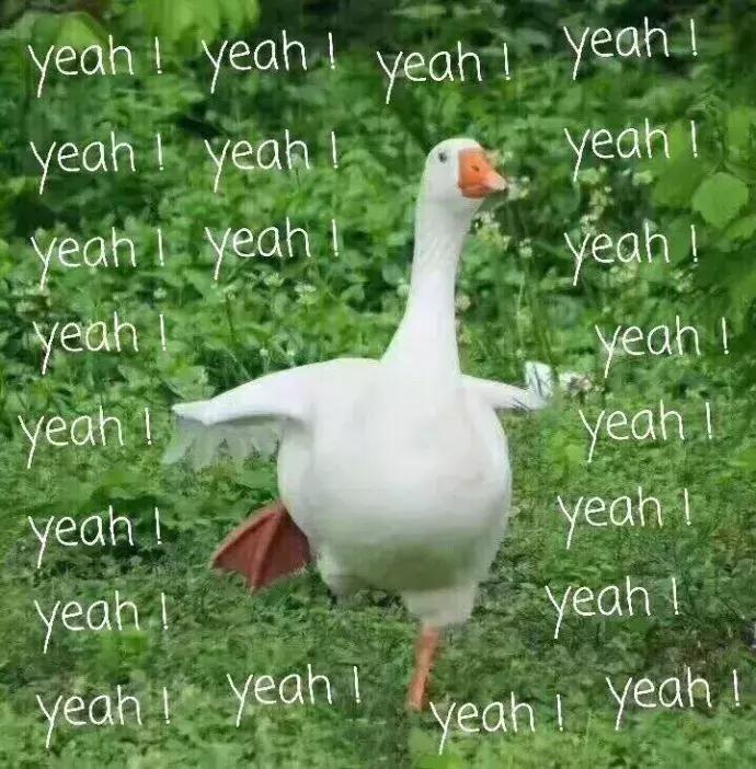 鍊熼挶缁欏瀛愪拱鎴掓寚,鍊熼挶缁欏コ鏈嬪弸涔伴噾闀瓙