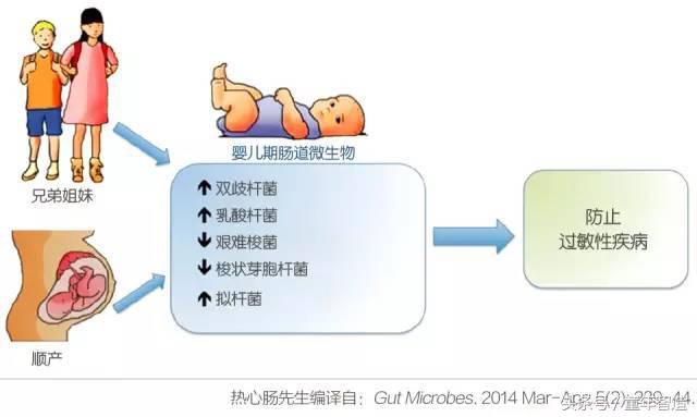 科学养娃真的科学么,科学有用常识小知识