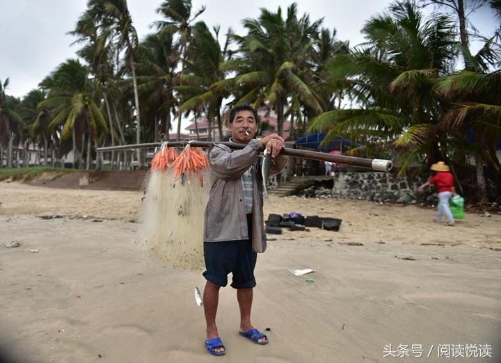 海南东郊椰林旅游攻略,海南静谧的椰林