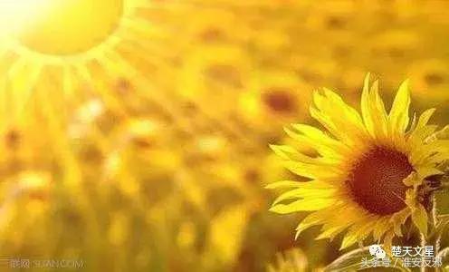 病中记,病中杂记大全