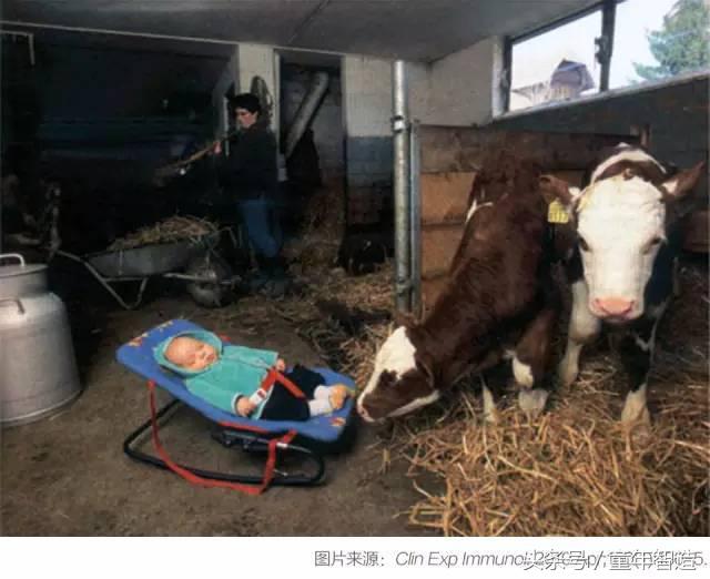 科学养娃真的科学么,科学有用常识小知识