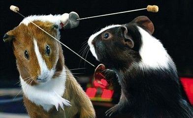 十二星座天蝎练田径行吗,十二星座适合当什么运动员