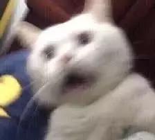 网红的新年福袋,今年最流行的圣诞福袋