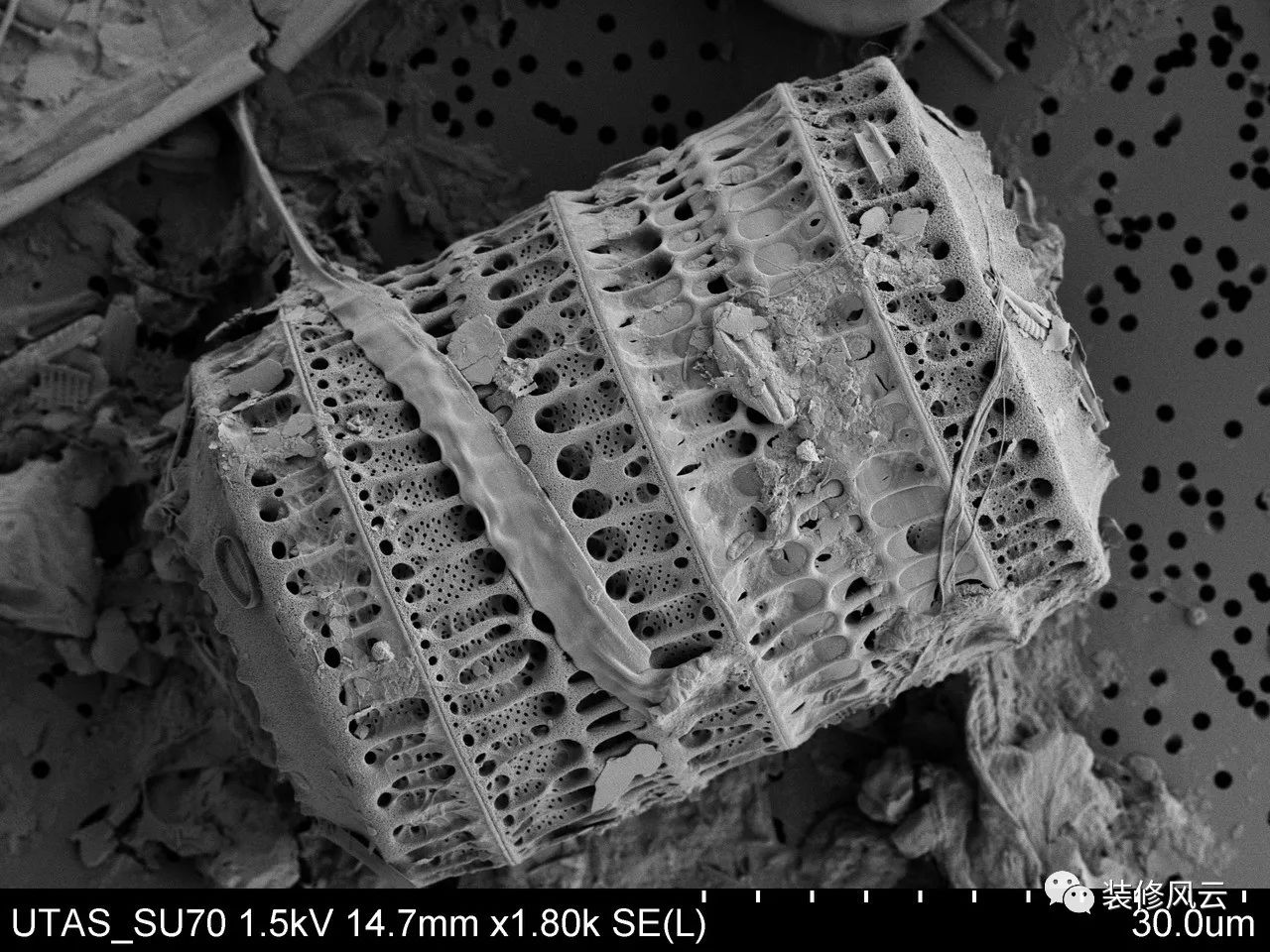 硅藻泥真的环保吗有没有科学依据,山东品牌硅藻泥环保