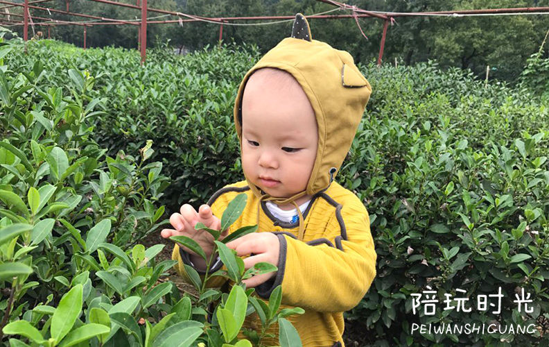 杭州哪里适合带小孩子去玩,杭州值得带孩子去玩的地方