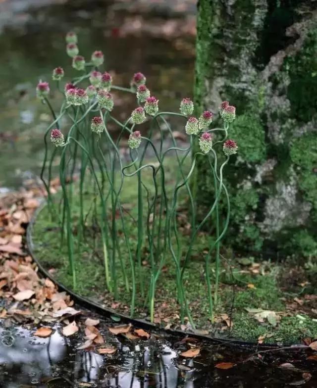 开花店需要准备什么,开一个花店需要准备哪些