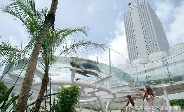 东京jr山手线详解,东京jr山手线报站