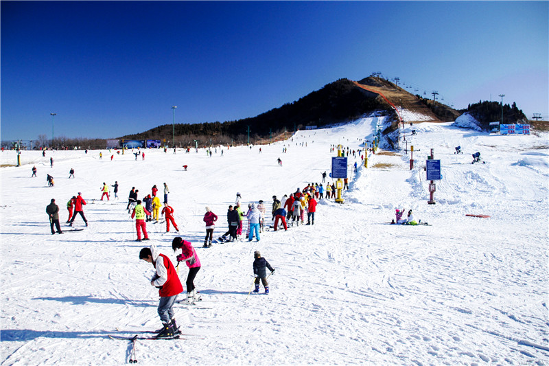 冰情雪趣绘画,冰情雪趣创意画