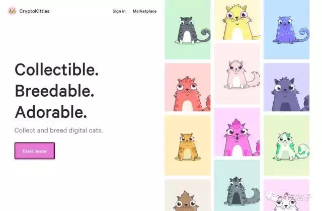 养一只电子猫好吗,电子猫真实存在吗