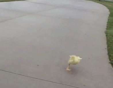 天津最值得去的公园排名榜前十,天津津南区值得游玩的公园