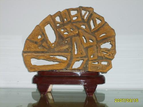 这才是真正的奇石,真正的奇石都是什么样子的