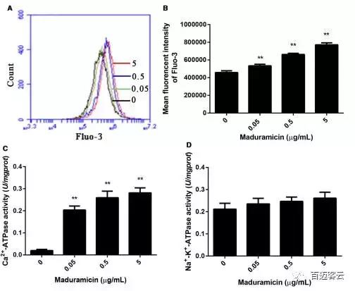 「云项目文章」关于抗生素心肌中毒，你可能不知道的那些事儿