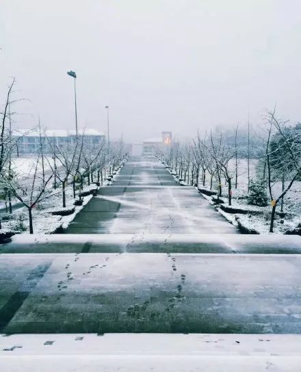 川外成都学院重庆,一个魔幻的佛系女子学院